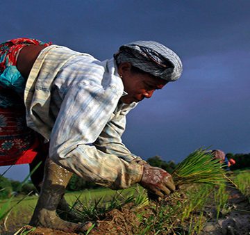 Unos 25 mil agricultores piden permiso a presidente indio para suicidarse Unos 25 mil agricultores piden permiso a presidente indio para suicidarse