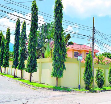 Casa arrendada a yerno de exdirector de OABI «se estaba cayendo»