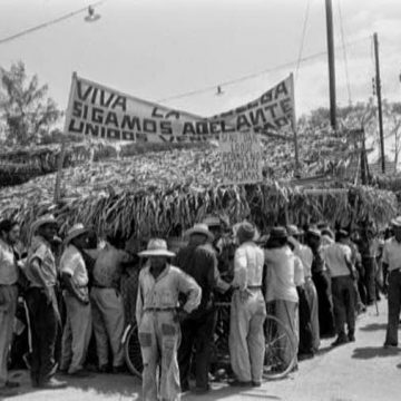 HONDURAS / LA MATANZA DEL JUTE EN 1965: EL GOLPISMO Y LA LUCHA POPULAR HONDURAS / LA MATANZA DEL JUTE EN 1965: EL GOLPISMO Y LA LUCHA POPULAR