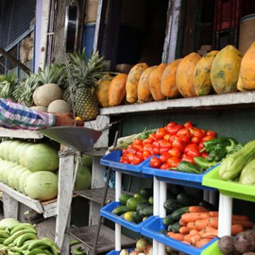 HONDURAS / BANRURAL DISEÑA CRÉDITOS PARA LAS MIPYMES HONDURAS / BANRURAL DISEÑA CRÉDITOS PARA LAS MIPYMES