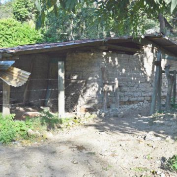 HONDURAS/ CARTA PARA JUAN, PIEDRA DE SÍSIFO O PRELUDIO DEL ADIÓS