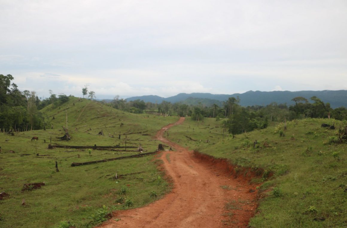 PRONUNCIAMIENTO DE LOS CONCEJOS TERRITORIALES DE LA BIOSFERA RIO PLATANO Y RESERVA DE BIOSFERA TAWAHKA, CONTRA LA APERTURA DE CARRETERA ILEGAL Y POR LAS AMENAZAS AL TERRITORIO INDIGENA DE LA MOSKITIA HONDUREÑA