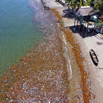 ¡CRIMEN! BASURA DE GUATEMALA DESTRUYE 57 KILÓMETROS DE PLAYAS HONDUREÑAS