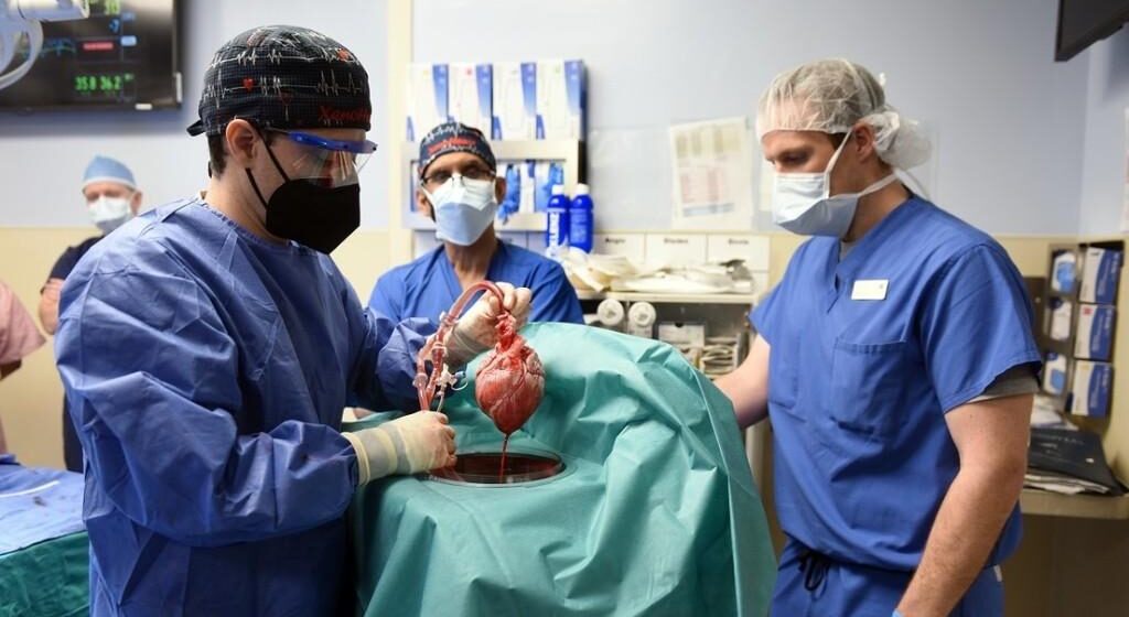 IMPLANTAN POR PRIMERA VEZ CORAZÓN DE CERDO A UN HUMANO EN EEUU