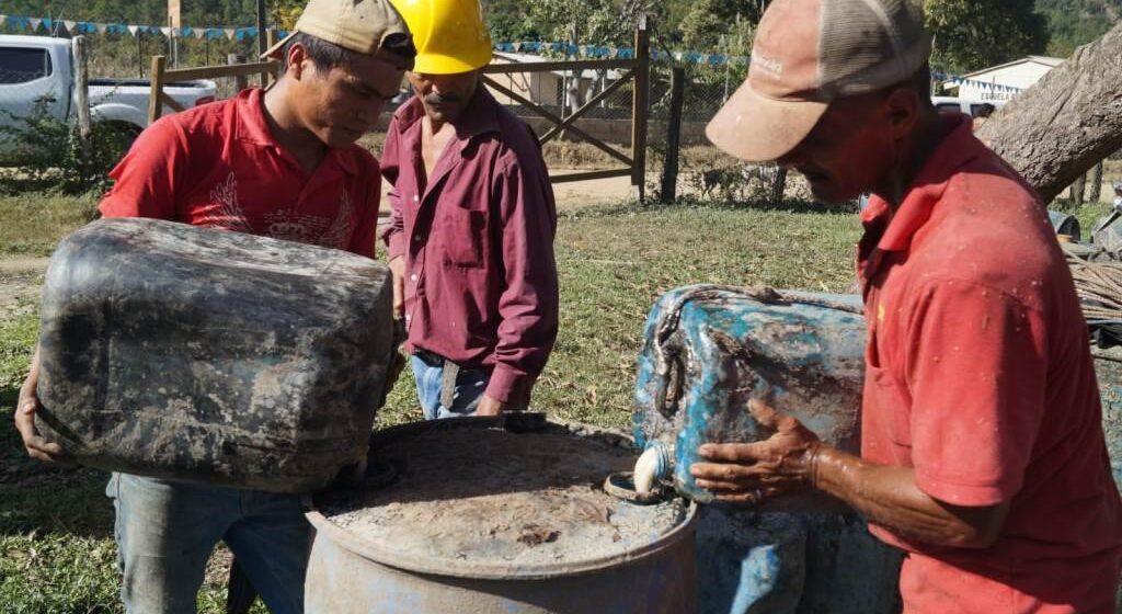 CERCA DE 20 MIL FAMILIAS BENEFICIADAS POR SISTEMA SOCIAL FORESTAL