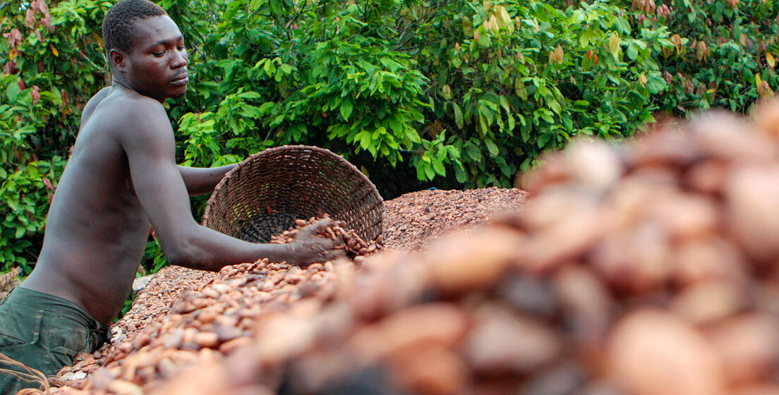 LOS PRECIOS DEL CACAO VUELVEN A ALCANZAR MÁXIMOS HISTÓRICOS