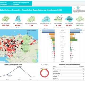 ¡ALARMANTE! MÁS DE 100 MIL HECTÁREAS DESTRUIDAS POR INCENDIOS 2024