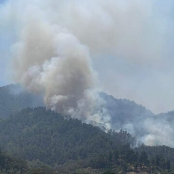 EXPERTO AMBIENTAL VE SOSPECHOSO INCENDIO EN EL MERENDÓN Y PIDE INVESTIGACIÓN