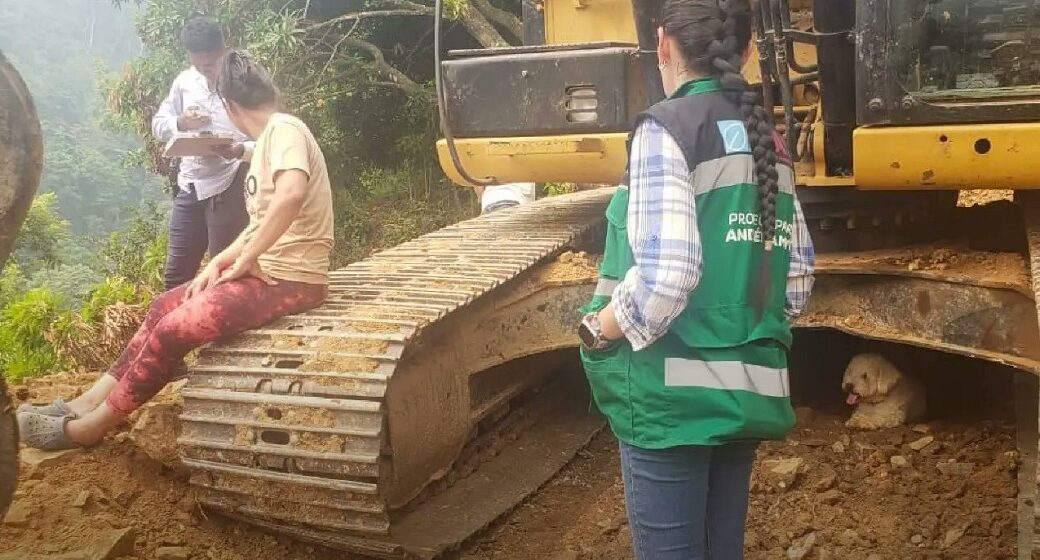 ¡ACCIÓN! GOBIERNO DESMANTELA URBANIZACIÓN EN RESERVA AMBIENTAL “PICO BONITO”