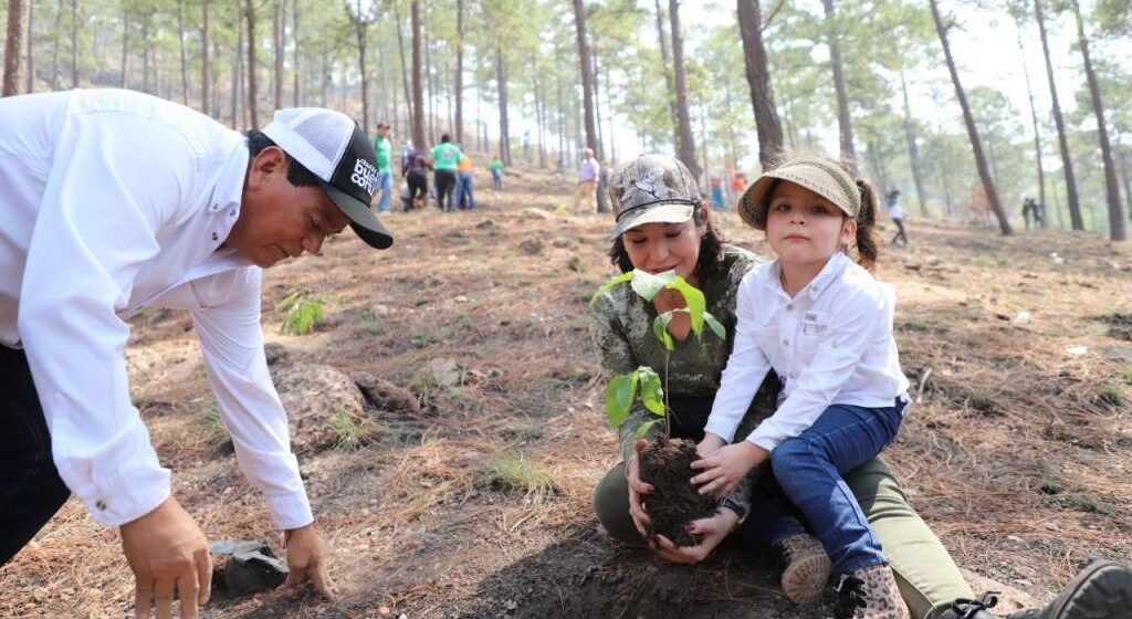 ALCALDÍA COMENZÓ REFORESTACIÓN AL ORIENTE DE TEGUCIGALPA