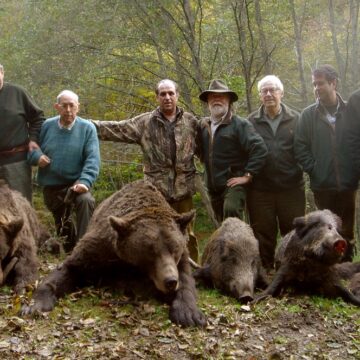 “LA PACÍFICA” SUECIA AUTORIZA MATANZA DE 500 OSOS PARA DIVERSIÓN DE CAZADORES