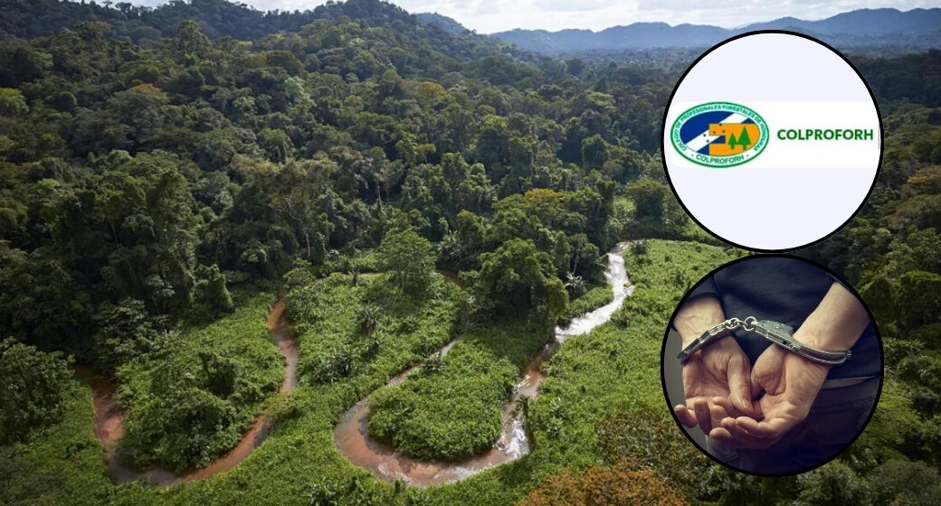 INGENIEROS PIDEN QUE NO SE TRATE COMO CRIMEN LA PROTECCIÓN AMBIENTAL