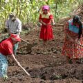 ¡VIOLENTA DESIGUALDAD! HONDUREÑAS DEL CAMPO SUBSISTEN CON 3,000 LEMPIRAS MENSUALES