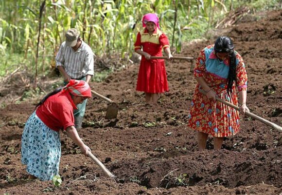 ¡VIOLENTA DESIGUALDAD! HONDUREÑAS DEL CAMPO SUBSISTEN CON 3,000 LEMPIRAS MENSUALES