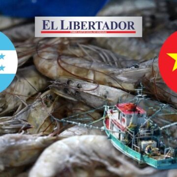 HONDURAS FORTALECE EXPORTACIÓN DE CAMARÓN A CHINA CON NUEVO ENVÍO DE 80 MIL LIBRAS