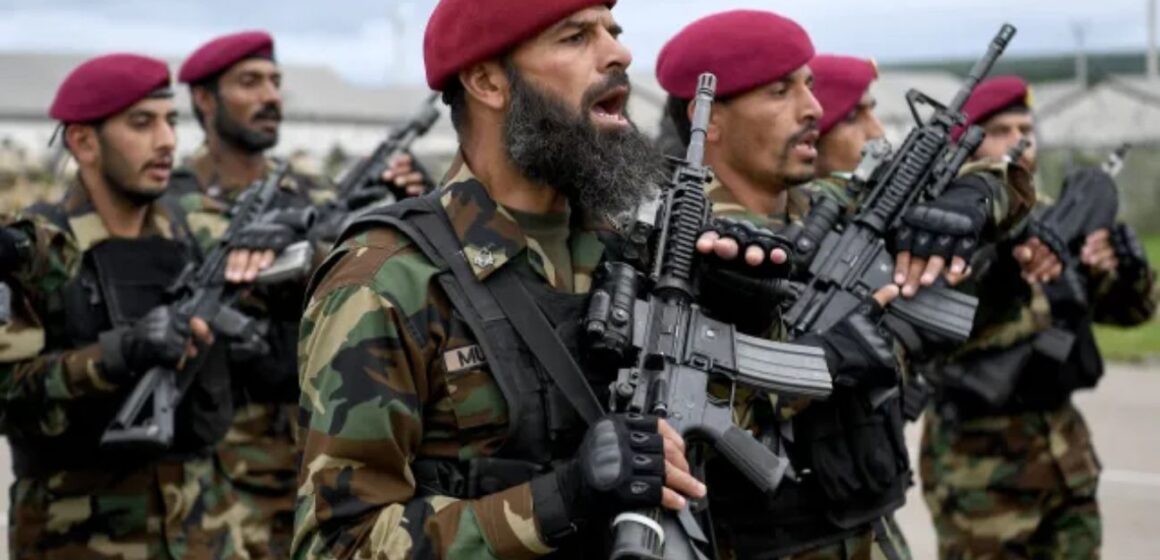 «HICIMOS EL TRABAJO SUCIO PARA EEUU»: PAKISTÁN ADMITE HABER APOYADO TERRORISTAS | VIDEO