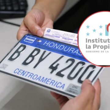 INSTITUTO DE LA PROPIEDAD ACLARA DESINFORMACIÓN Y LICITACIÓN PARA EMISIÓN DE PLACAS