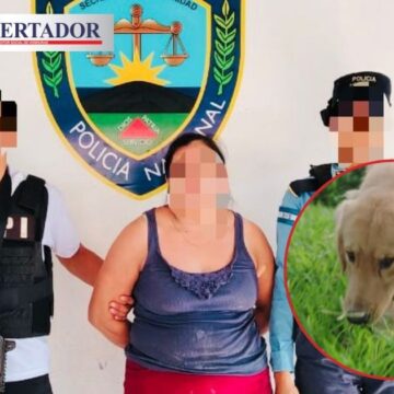 ¡INCREÍBLE! PERRO DESCUBRE CRIMEN DE MUJER QUE MATÓ Y ENTERRÓ SU HIJO RECIÉN NACIDO