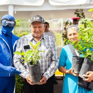 UNO Y FUNDACIÓN TERRA LANZAN SEXTA EDICIÓN DE “PLANTA UN ÁRBOL CON UNO”