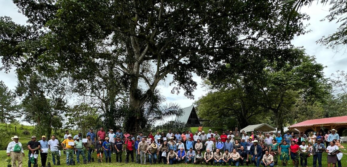 MÁS DE 100 PRODUCTORES GRADUADOS EN GANADERIA SOSTENIBLE EN OLANCHO