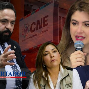 COSETTE VIOLA CONSTITUCIÓN AL USURPAR FUNCIONES DEL CONGRESO, ADVIERTE REDONDO