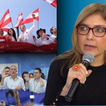 PRESIONES DE NACIONALISTAS Y LIBERALES AUMENTARON CRISIS EN CNE: ANA PAOLA EN RENUNCIA