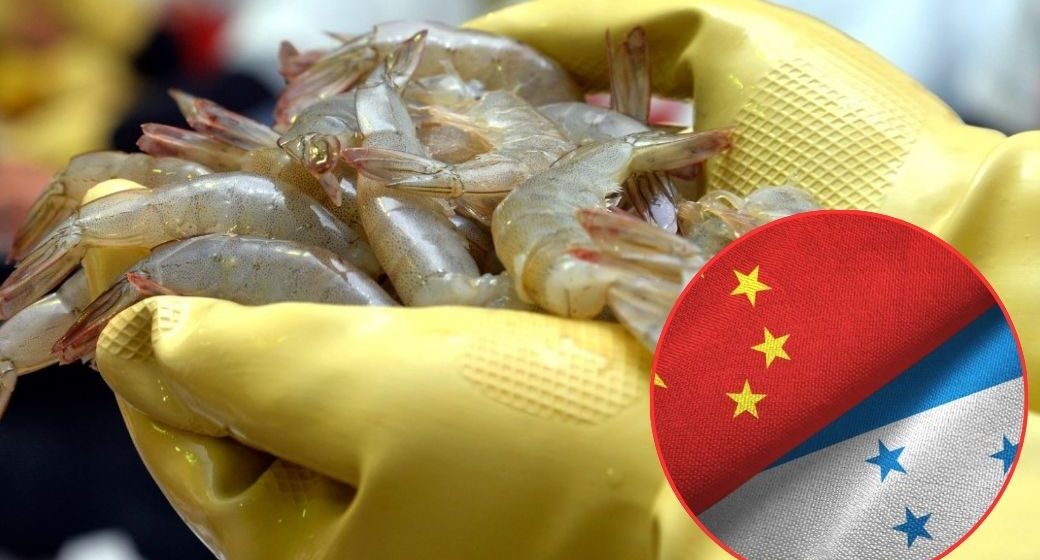 HONDURAS ASEGURA NUEVO ACUERDO PARA EXPORTAR 3,000 TONELADAS DE CAMARÓN A CHINA HONDURAS ASEGURA NUEVO ACUERDO PARA EXPORTAR 3,000 TONELADAS DE CAMARÓN A CHINA