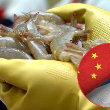 HONDURAS ASEGURA NUEVO ACUERDO PARA EXPORTAR 3,000 TONELADAS DE CAMARÓN A CHINA