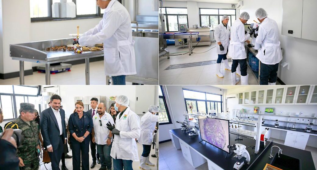 AMISTAD CON CHINA IMPULSA AGRO HONDUREÑO CON MODERNA PROCESADORA INDUSTRIAL AMISTAD CON CHINA IMPULSA AGRO HONDUREÑO CON MODERNA PROCESADORA INDUSTRIAL