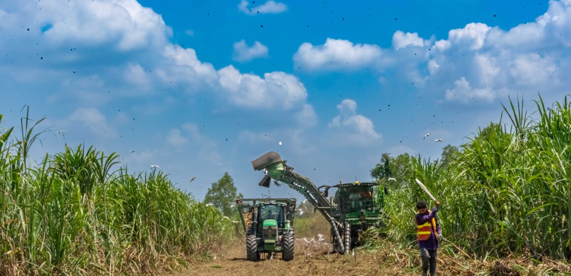 AZUNOSA CELEBRA 51 AÑOS IMPULSANDO DESARROLLO Y EMPLEO EN EL VALLE DE SULA