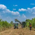 AZUNOSA CELEBRA 51 AÑOS IMPULSANDO DESARROLLO Y EMPLEO EN EL VALLE DE SULA