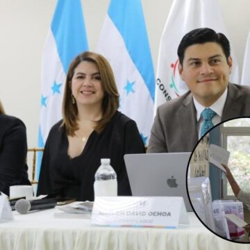 CONSEJO ELECTORAL FACULTA A 29 ORGANIZACIONES PARA AUDITAR «LAS GENERALES»