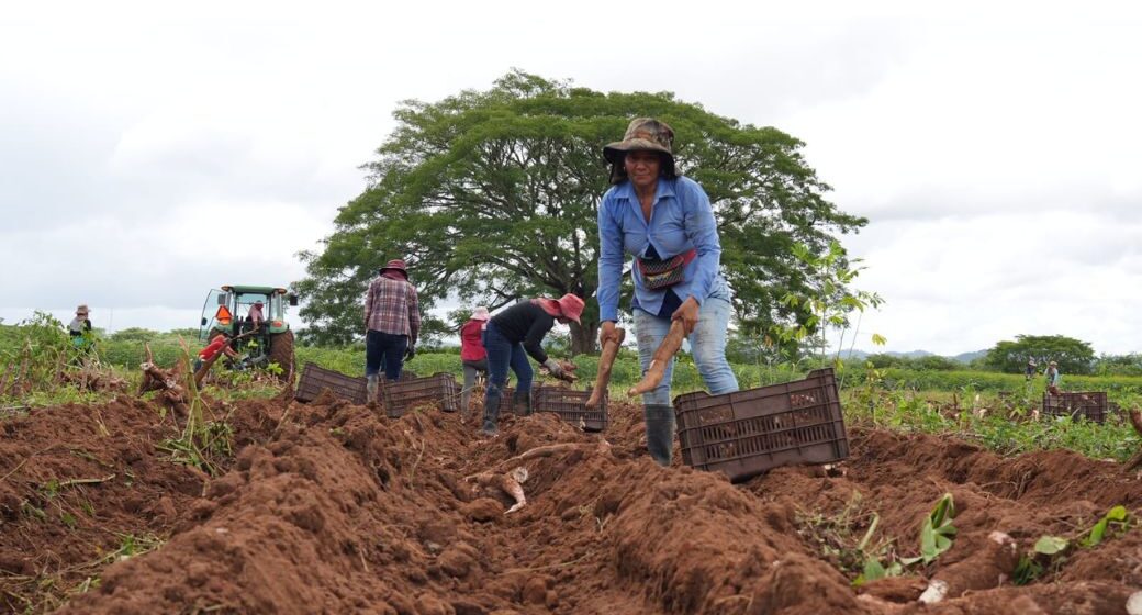 MÁS DE 700 MIL HONDUREÑOS LIBERADOS DEL HAMBRE EN GOBIERNO CASTRO
