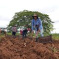 MÁS DE 700 MIL HONDUREÑOS LIBERADOS DEL HAMBRE EN GOBIERNO CASTRO