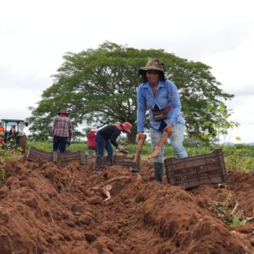 MÁS DE 700 MIL HONDUREÑOS LIBERADOS DEL HAMBRE EN GOBIERNO CASTRO