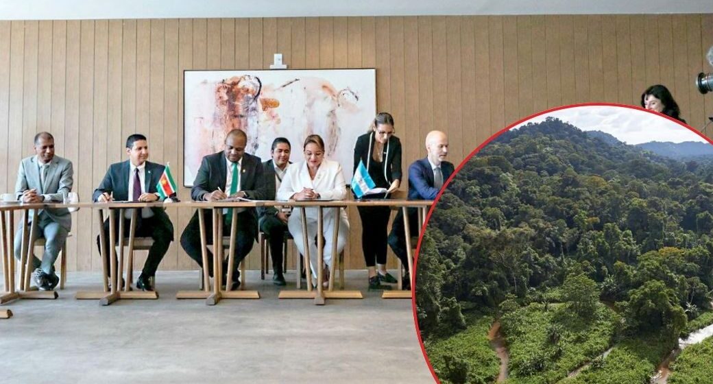 ¡OXÍGENO! BOSQUES HONDUREÑOS GENERARÁN 312 MILLONES DE LEMPIRAS EN BONOS VERDES ¡OXÍGENO! BOSQUES HONDUREÑOS GENERARÁN 312 MILLONES DE LEMPIRAS EN BONOS VERDES