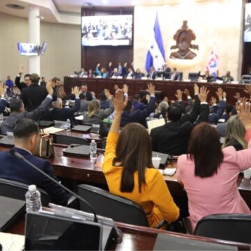 ¡DE REGRESO! FIDEICOMISO Y “PRIVATIZACIÓN” EN NUEVA LEY DE EMERGENCIA EN SALUD