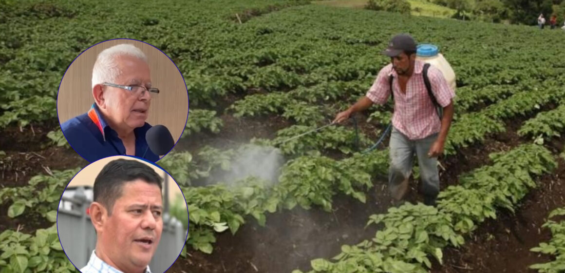 RECORTE MILLONARIO AL SECTOR AGRÍCOLA AMENAZA PRODUCCIÓN Y EMPLEO, ALERTAN EXPERTOS