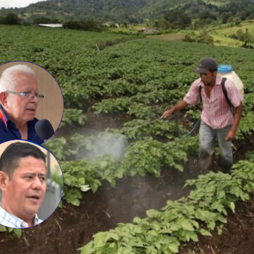 RECORTE MILLONARIO AL SECTOR AGRÍCOLA AMENAZA PRODUCCIÓN Y EMPLEO, ALERTAN EXPERTOS