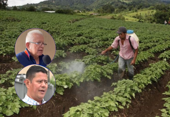 RECORTE MILLONARIO AL SECTOR AGRÍCOLA AMENAZA PRODUCCIÓN Y EMPLEO, ALERTAN EXPERTOS