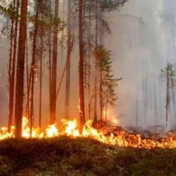 ¡ALERTA! 41 INCENDIOS EN ÁREAS PROTEGIDAS Y 800 PUNTOS DE CALOR ACTIVOS EN HONDURAS