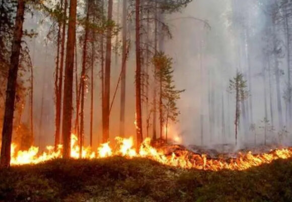 ¡ALERTA! 41 INCENDIOS EN ÁREAS PROTEGIDAS Y 800 PUNTOS DE CALOR ACTIVOS EN HONDURAS