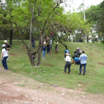 ALCALDÍA SIEMBRA DE ÁRBOLES EN BULEVARES DE LA CAPITAL HONDUREÑA ALCALDÍA SIEMBRA DE ÁRBOLES EN BULEVARES DE LA CAPITAL HONDUREÑA