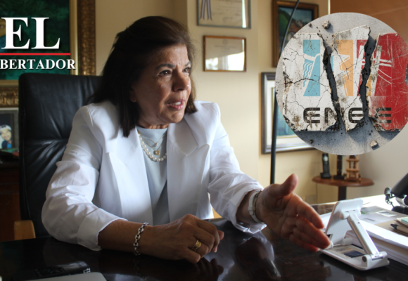 REFORMAS DE ENEE DEBEN SERVIR A HONDUREÑOS NO INTERESES POLÍTICOS: DOCTORA HANDAL