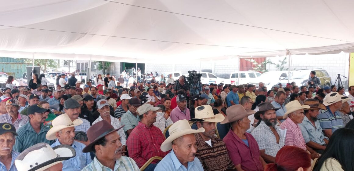 GOBIERNO ENTREGA INCENTIVOS A 240 PRODUCTORES DE CAPITAL HONDUREÑA