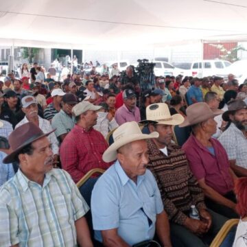 GOBIERNO ENTREGA INCENTIVOS A 240 PRODUCTORES DE CAPITAL HONDUREÑA GOBIERNO ENTREGA INCENTIVOS A 240 PRODUCTORES DE CAPITAL HONDUREÑA
