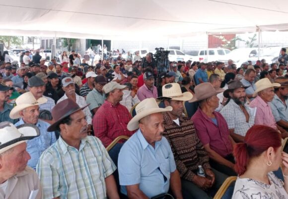 GOBIERNO ENTREGA INCENTIVOS A 240 PRODUCTORES DE CAPITAL HONDUREÑA