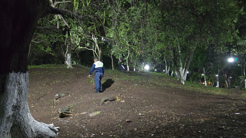 ALCALDÍA RECUPERA “CERRITO DE LA FELICIDAD” EN “CIUDAD KENNEDY”