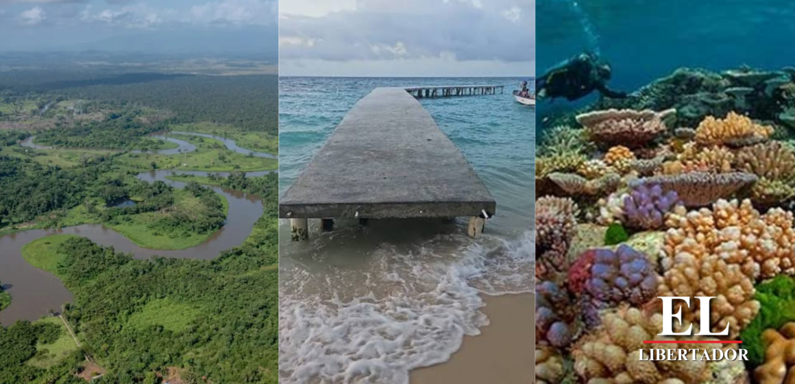 ¡ALERTA! AMBIENTALISTAS ADVIERTE QUE MEGAPROYECTOS EN OMOA Y LA MOSQUITIA DESTRUIRAN EL PATRIMONIO NATURAL DE HONDURAS ¡ALERTA! AMBIENTALISTAS ADVIERTE QUE MEGAPROYECTOS EN OMOA Y LA MOSQUITIA DESTRUIRAN EL PATRIMONIO NATURAL DE HONDURAS