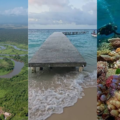 ¡ALERTA! AMBIENTALISTAS ADVIERTE QUE MEGAPROYECTOS EN OMOA Y LA MOSQUITIA DESTRUIRAN EL PATRIMONIO NATURAL DE HONDURAS